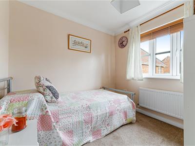 Picture 19